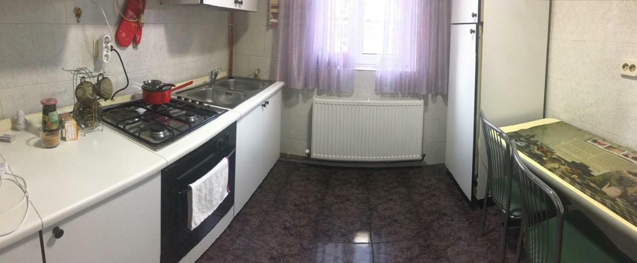 Apartament Mansarda Apartment Curtea De Arges Exterior photo